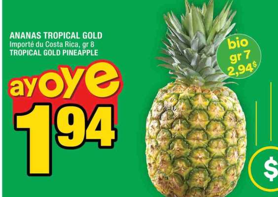 ANANAS TROPICAL GOLD
