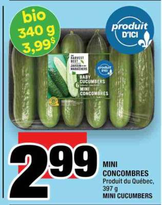 mini concombres