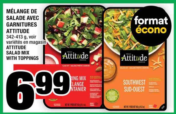 MÉLANGE DE SALADE AVEC GARNITURES ATTITUDE
