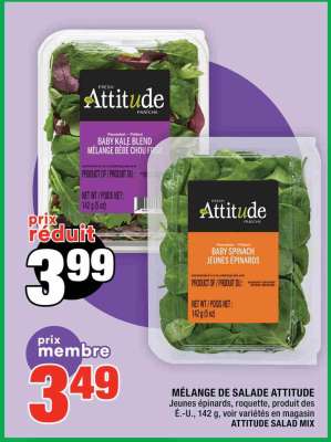MÉLANGE DE SALADE ATTITUDE
