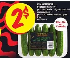 MINI-CONCOMBRES DÉLICES DU MARCHÉ