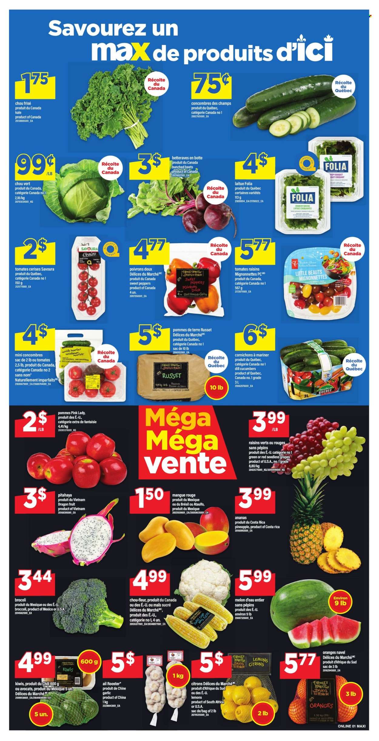 Circulaire Maxi  - 09 Juillet 2026 - 15 Juillet 2026. Page 5