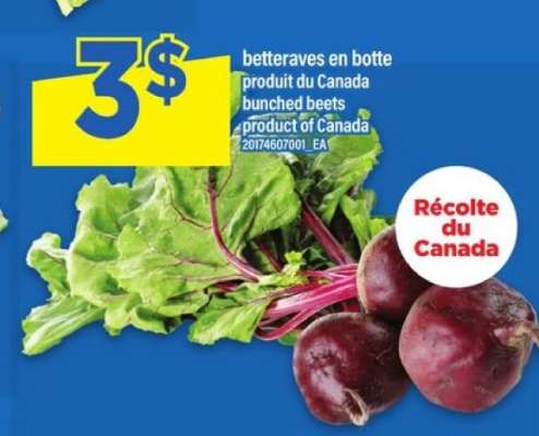 betteraves en botte