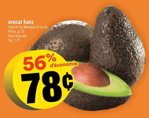 AVOCAT HASS