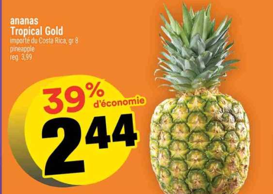 ANANAS TROPICAL GOLD