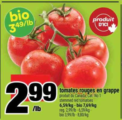 TOMATES ROUGES EN GRAPPE