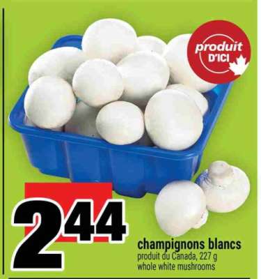 CHAMPIGNONS BLANCS