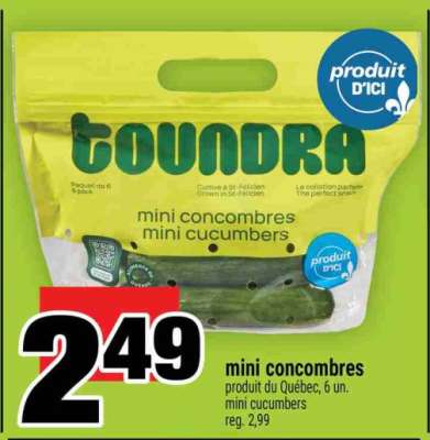 mini concombres