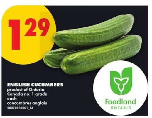 ENGLISH CUCUMBERS