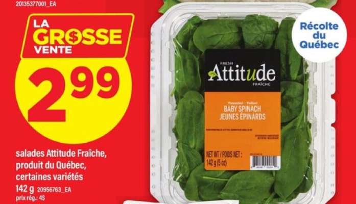 salades Attitude Fraîche