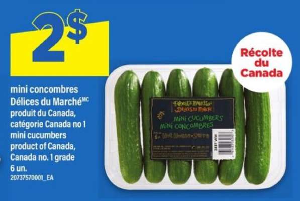 MINI-CONCOMBRES DÉLICES DU MARCHÉ
