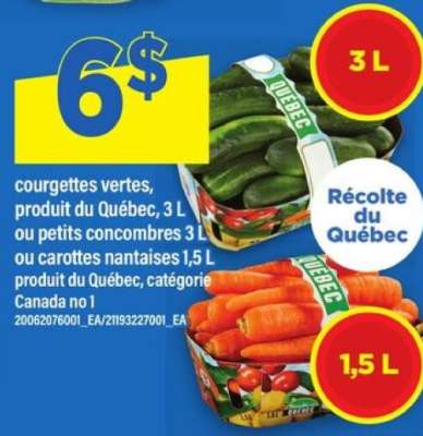 Courgettes vertes, petits concombres ou carottes nantaises