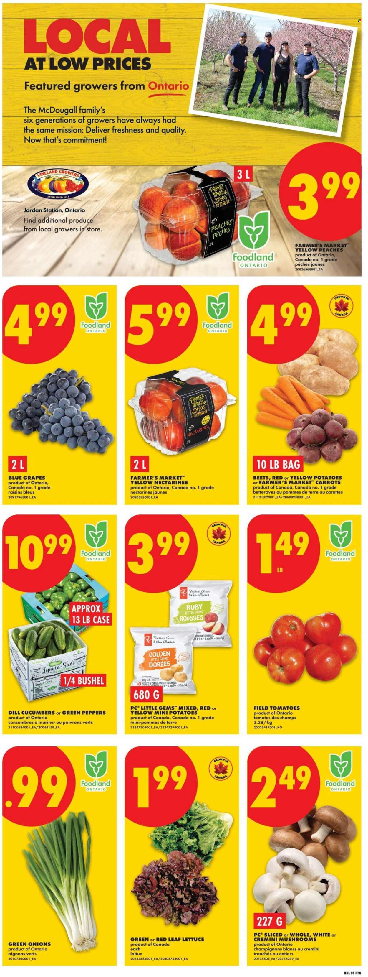 Circulaire No Frills  - 20 Août 2026 - 26 Août 2026. Page 3
