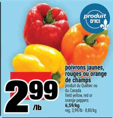poivrons jaunes, rouges ou orange de champs