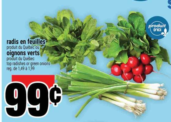 Radis en feuilles ou Oignons verts