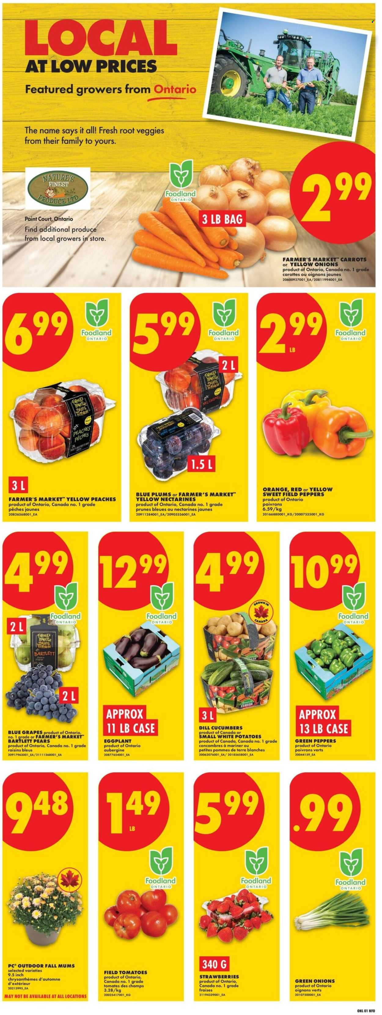 Circulaire No Frills  - 27 Août 2026 - 02 Septembre 2026. Page 3