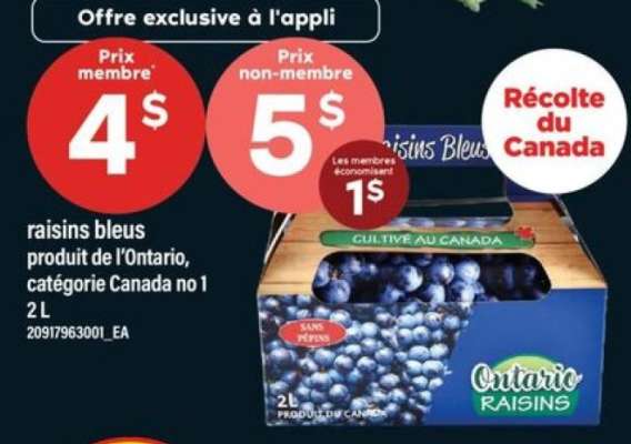 raisins bleus