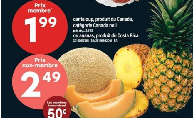 Cantaloup ou Ananas