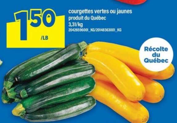 COURGETTES VERTES OU JAUNES