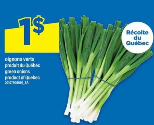 oignons verts
