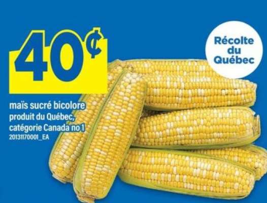 maïs sucré bicolore