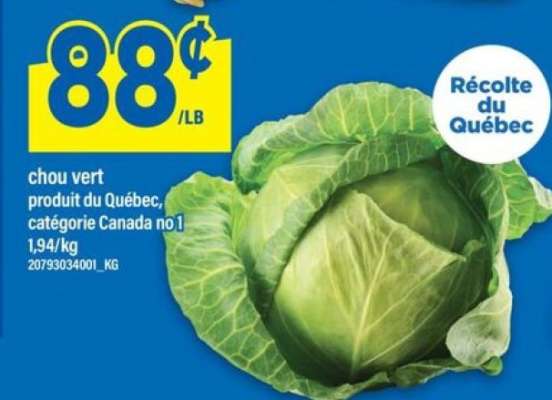 CHOU VERT