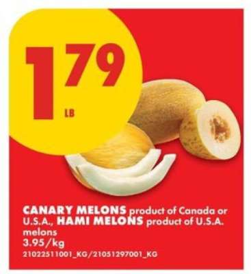 Canary Melons / Hami Melons