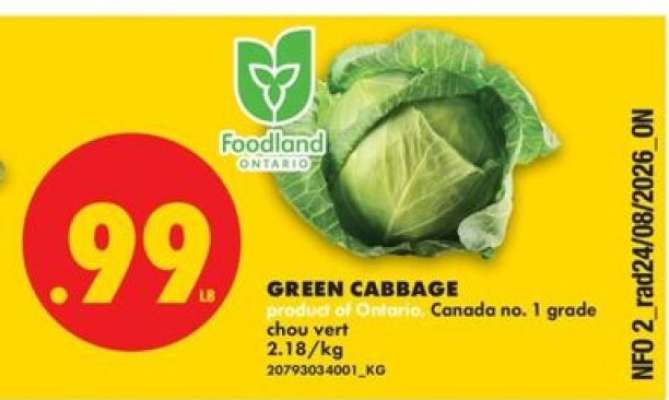 GREEN CABBAGE