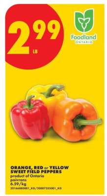 ORANGE, RED or YELLOW SWEET FIELD PEPPERS
