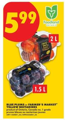Blue Plums or Farmer's Market Yellow Nectarines