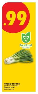 Green Onions