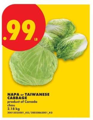 NAPA or TAIWANESE CABBAGE