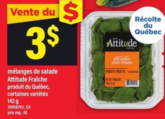 MÉLANGES DE SALADE ATTITUDE FRAÎCHE