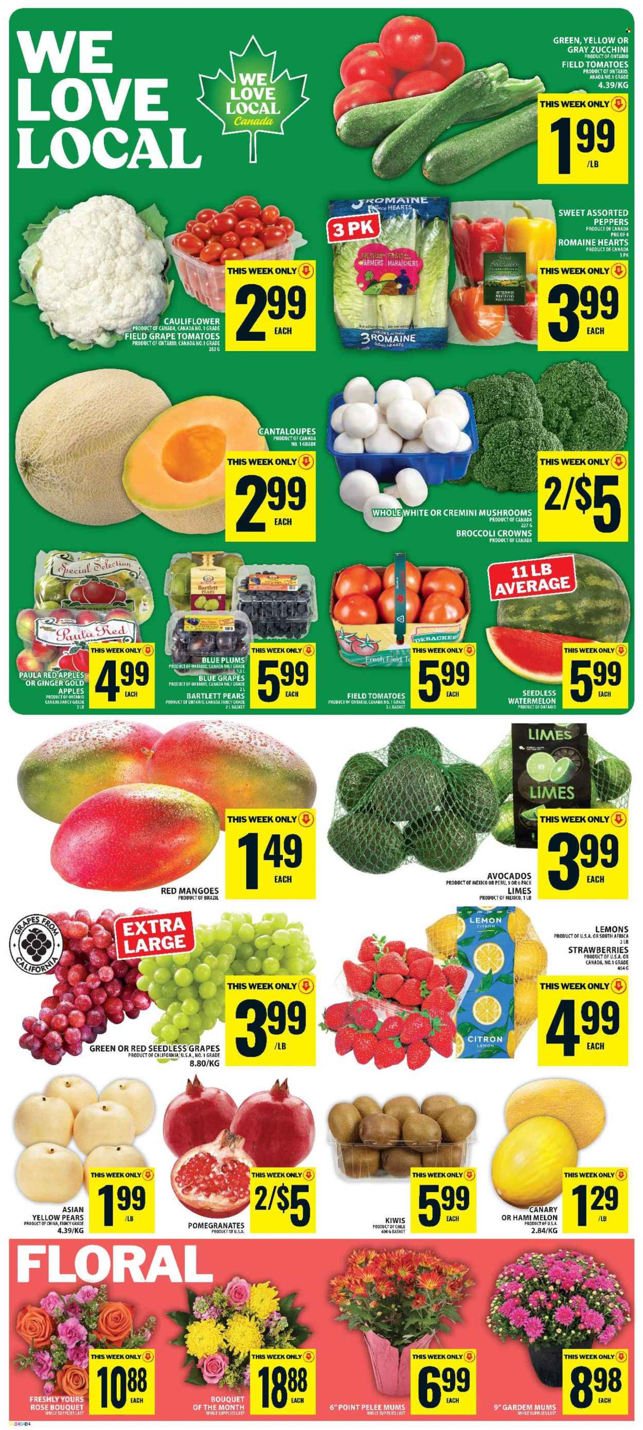 Circulaire Food Basics  - 03 Septembre 2026 - 09 Septembre 2026. Page 6