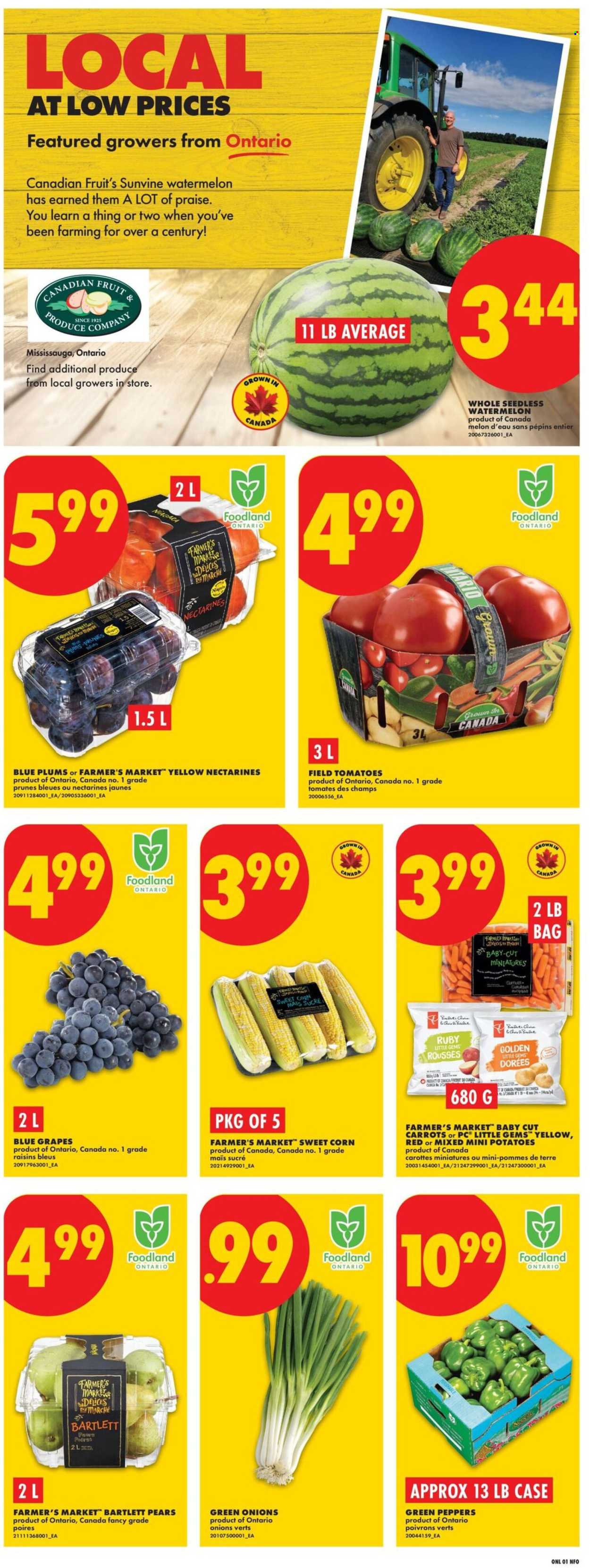 Circulaire No Frills  - 03 Septembre 2026 - 09 Septembre 2026. Page 3