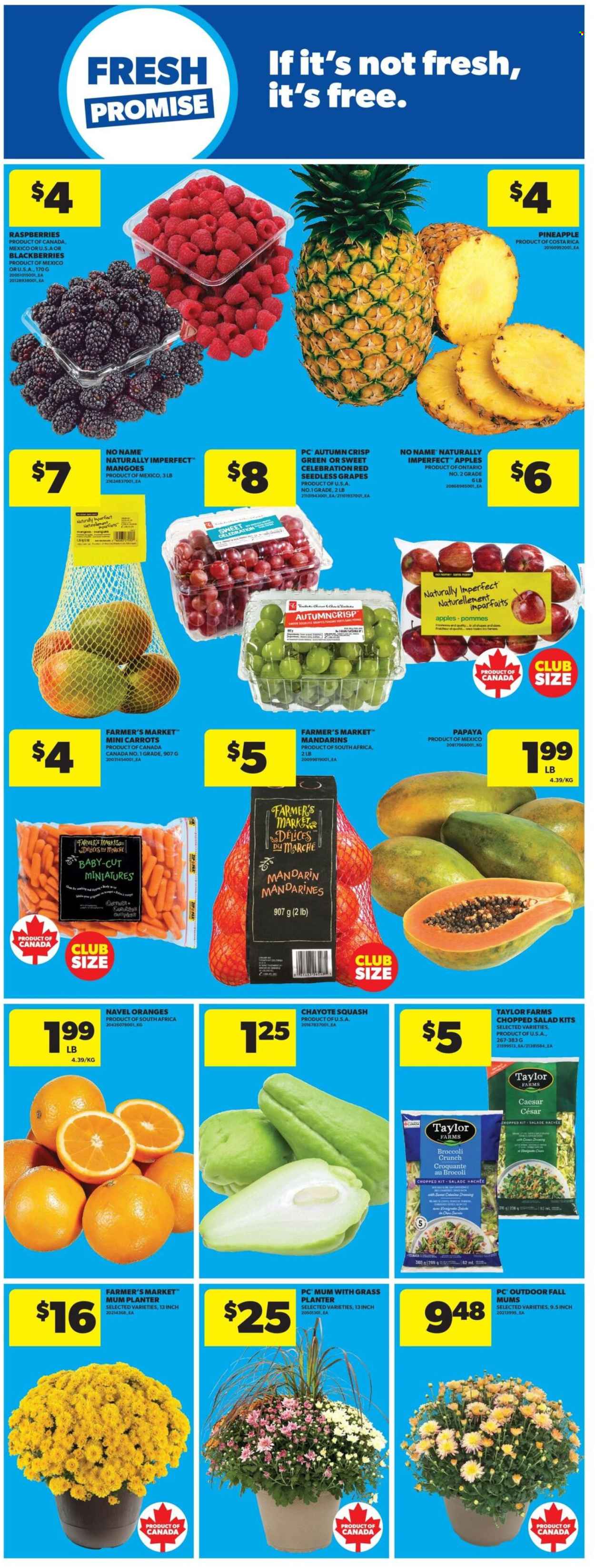 Circulaire Real Canadian Superstore  - 03 Septembre 2026 - 09 Septembre 2026. Page 14