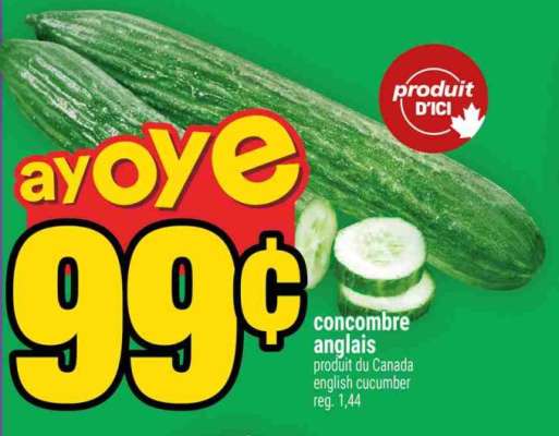 Concombre anglais