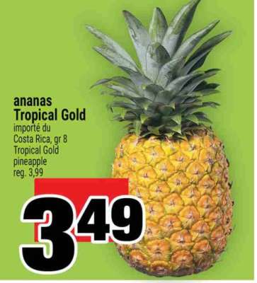 ANANAS TROPICAL GOLD
