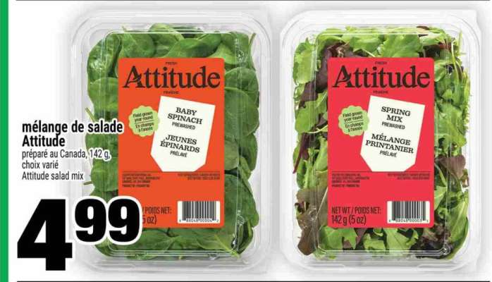MÉLANGE DE SALADE ATTITUDE