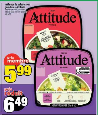 MÉLANGE DE SALADE AVEC GARNITURES ATTITUDE