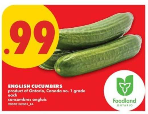 ENGLISH CUCUMBERS