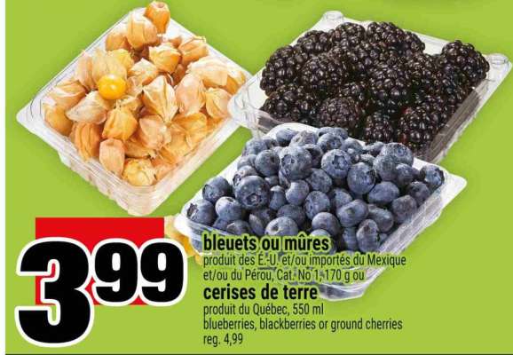 BLEUETS OU MÛRES