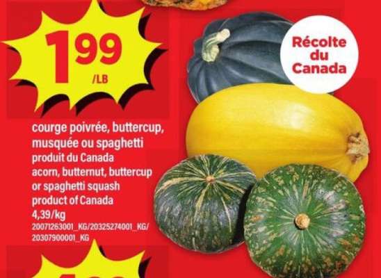 COURGE POIVRÉE, BUTTERCUP, MUSQUÉE OU SPAGHETTI
