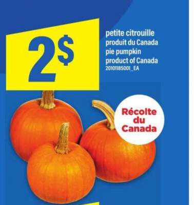 petite citrouille
