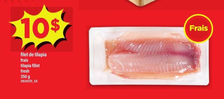 filet de tilapia, frais