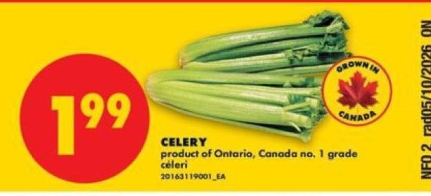 CELERY