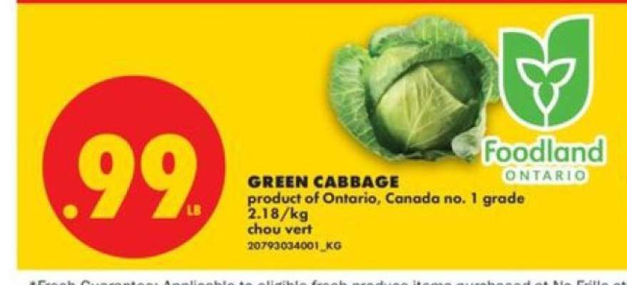 GREEN CABBAGE