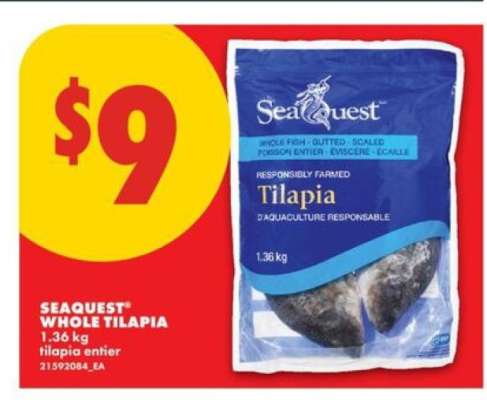 Seaquest Whole Tilapia