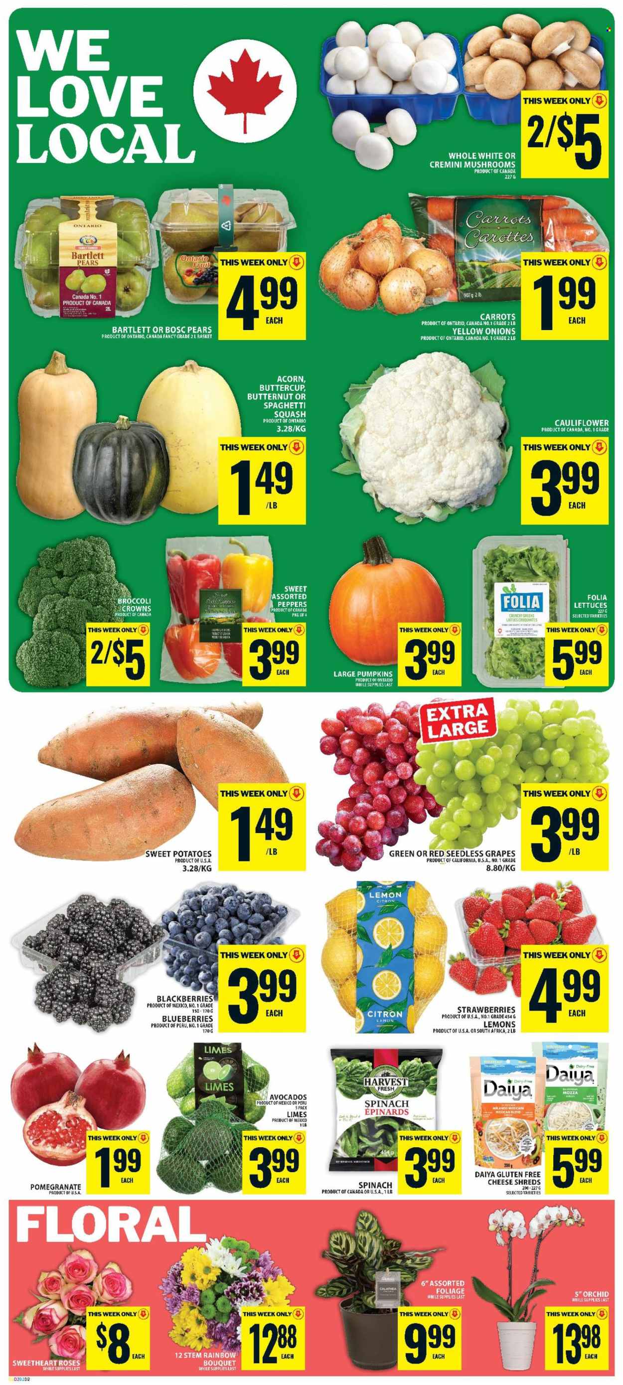 Circulaire Food Basics  - 15 Octobre 2026 - 21 Octobre 2026. Page 3