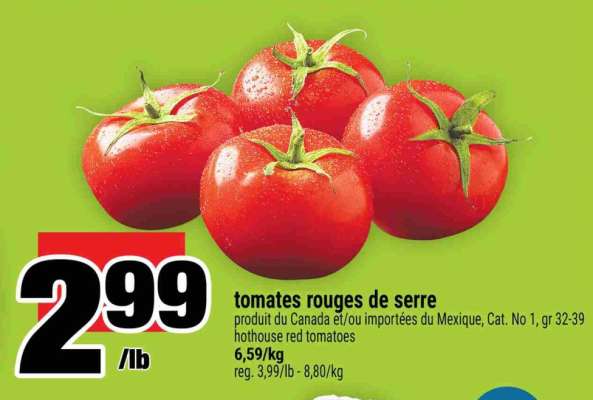 TOMATES ROUGES DE SERRE